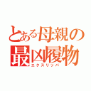 とある母親の最凶履物（エクスリッパ）