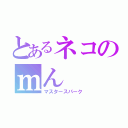 とあるネコのｍん（マスタースパーク）