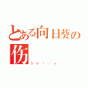 とある向日葵の伤（Ｓｍｉｌｅ）