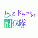 とあるドラコレの討伐隊（エクソシスト）