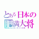 とある日本の肥満大将（ぽっちゃり大将）