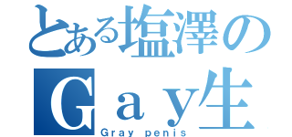 とある塩澤のＧａｙ生活（Ｇｒａｙ ｐｅｎｉｓ）