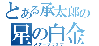 とある承太郎の星の白金（スタープラチナ）