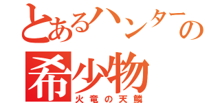 とあるハンターの希少物（火竜の天鱗）