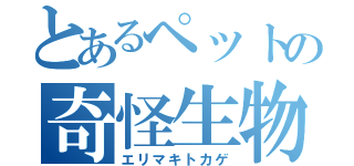 とあるペットの奇怪生物（エリマキトカゲ）