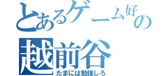 とあるゲーム好きの越前谷（たまには勉強しろ）