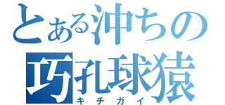 とある沖ちの巧孔球猿（キチガイ）