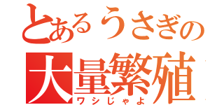 とあるうさぎの大量繁殖（ワシじゃよ）