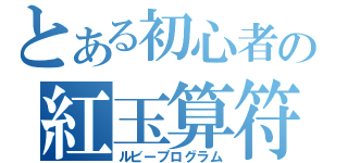 とある初心者の紅玉算符（ルビープログラム）