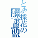 とある採花の翻滾聯盟（八爺）