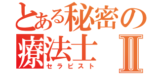 とある秘密の療法士Ⅱ（セラピスト）