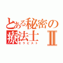 とある秘密の療法士Ⅱ（セラピスト）