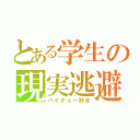 とある学生の現実逃避（ハイキュー好き）