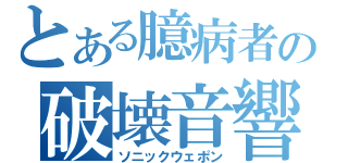 とある臆病者の破壊音響（ソニックウェポン）