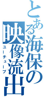 とある海保の映像流出（ユーチューブ）