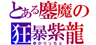 とある鏖魔の狂暴紫龍（ゆかりっちα）