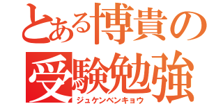 とある博貴の受験勉強（ジュケンベンキョウ）