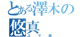 とある澤木の悠真（ユマ族）