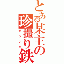 とある某主の珍撮り鉄（そうしき）