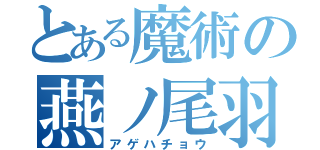 とある魔術の燕ノ尾羽（アゲハチョウ）