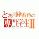 とある蜂蜜色の専門学生Ⅱ（スプリング　カム）