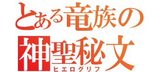 とある竜族の神聖秘文（ヒエログリフ）