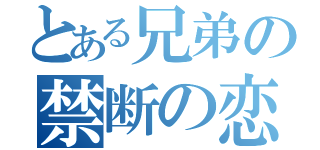 とある兄弟の禁断の恋（）