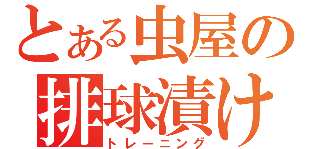 とある虫屋の排球漬け（トレーニング）