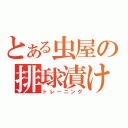 とある虫屋の排球漬け（トレーニング）