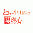 とある小山西の関瑛心（ガチホモ）