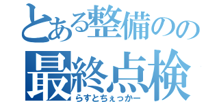 とある整備のの最終点検（らすとちぇっかー）