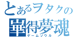 とあるヲタクの崋得夢魂（ゲームソウル）