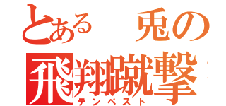 とある 兎の飛翔蹴撃（テンペスト）