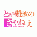 とある難波のさやねぇ（さやかは俺の嫁）