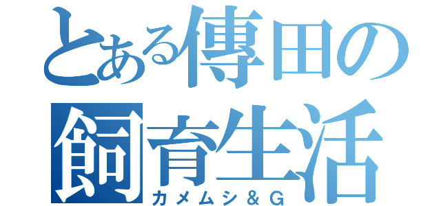 とある傳田の飼育生活（カメムシ＆Ｇ）