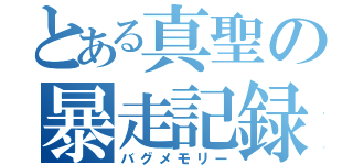 とある真聖の暴走記録（バグメモリー）