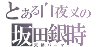 とある白夜叉の坂田銀時（天然パーマ）