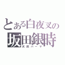 とある白夜叉の坂田銀時（天然パーマ）