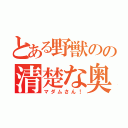 とある野獣のの清楚な奥様（マダムさん！）