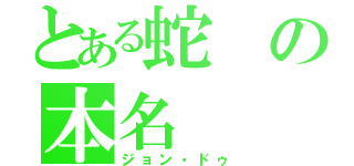 とある蛇の本名（ジョン・ドゥ）