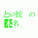 とある蛇の本名（ジョン・ドゥ）