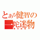 とある健智の一陀迷物（根本超像）