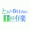 とある春日山の上杉有楽斎（夢幻の如く）