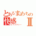 とあるまめちの快感Ⅱ（エクスタシー）