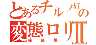 とあるチルノ好きの変態ロリコンⅡ（佐藤輝）