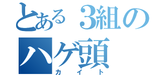 とある３組のハゲ頭（カイト）