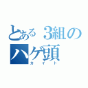 とある３組のハゲ頭（カイト）