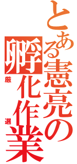 とある憲亮の孵化作業（厳選）