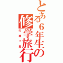 とある６年生の修学旅行（佐渡ヶ島）