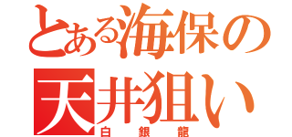 とある海保の天井狙い（白銀龍）